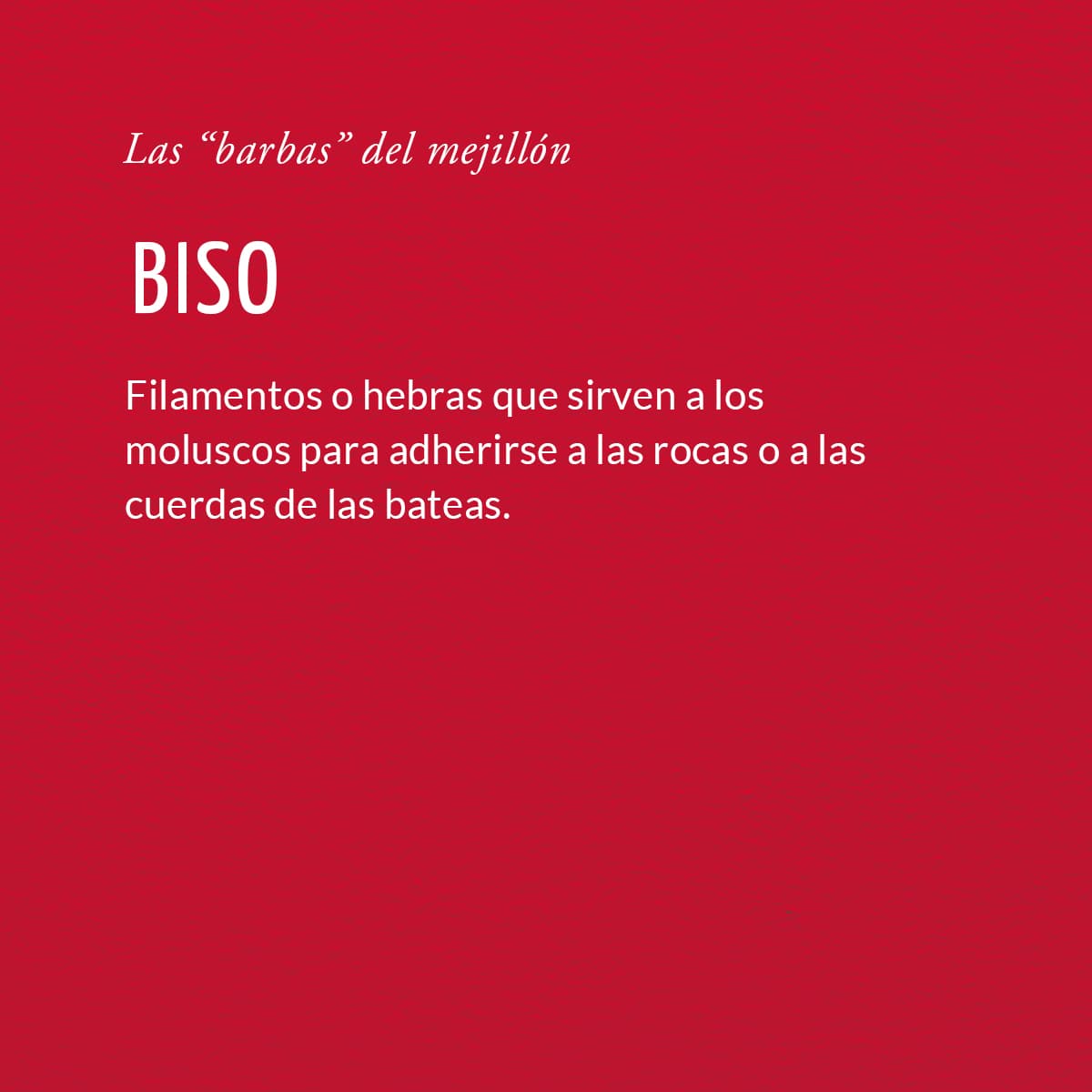 BISO